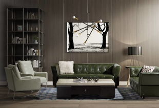 选一款好沙发,让你的客厅更加迷人